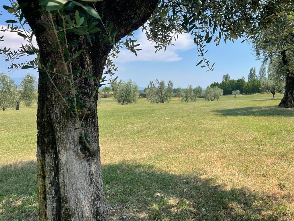 Garda Golf Country Chic Home Soiano Del Lago Eksteriør bilde